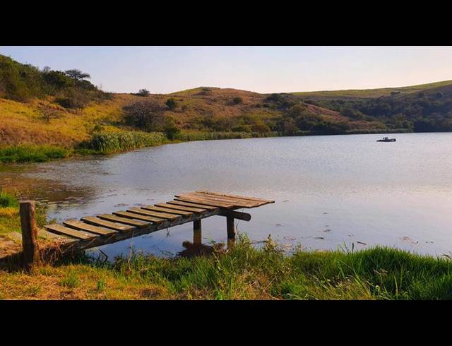 FARM FOR SALE IN MANDENI